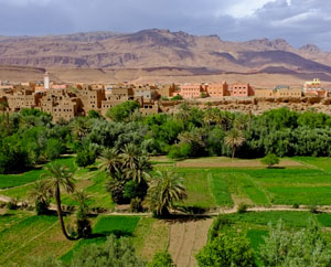 Artisanant taroudant