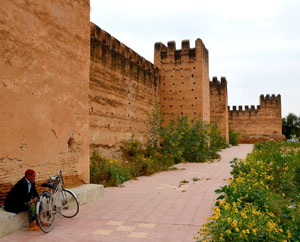 Muraille taroudant